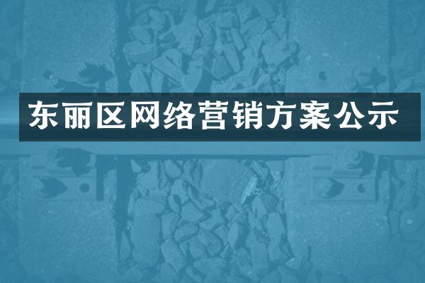 东丽区网络营销方案公示