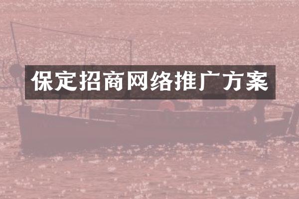 保定招商网络推广方案