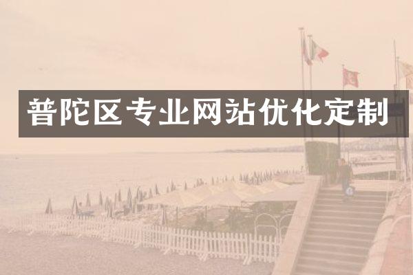 普陀区专业网站优化定制