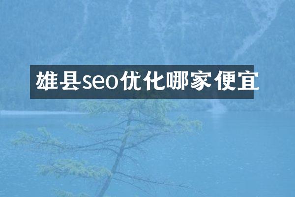 雄县seo优化哪家便宜