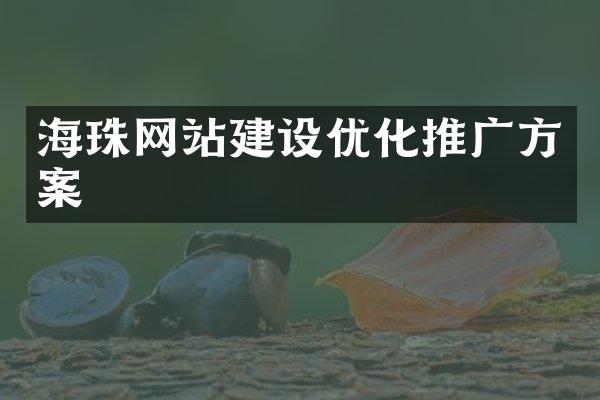 海珠网站建设优化推广方案