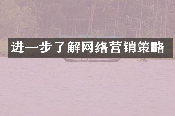进一步了解网络营销策略
