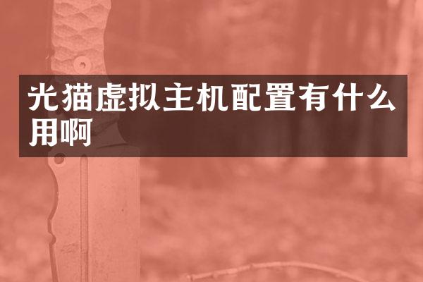 光猫虚拟主机配置有什么用啊