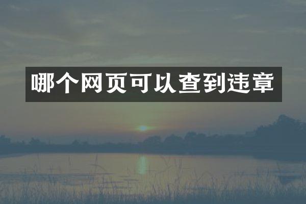 哪个网页可以查到违章