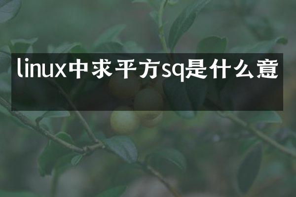 linux中求平方sq是什么意思
