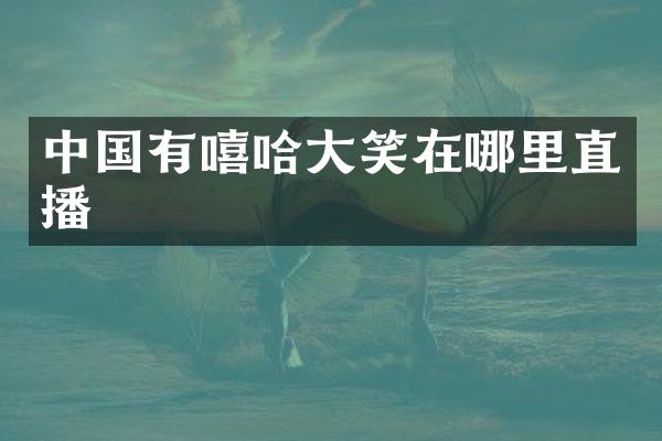 中国有嘻哈大笑在哪里直播