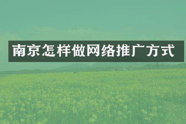 南京怎样做网络推广方式