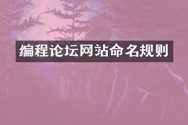 编程论坛网站命名规则