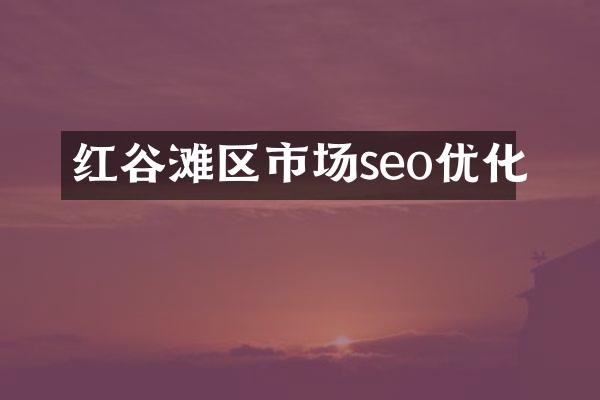 红谷滩区市场seo优化