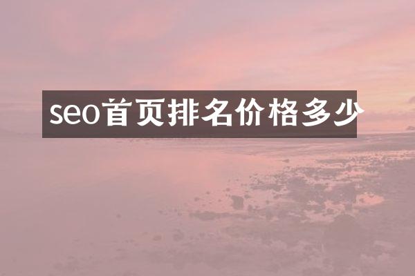 seo首页排名价格多少