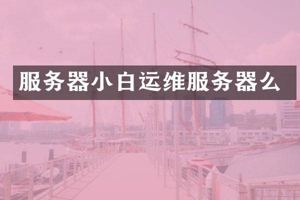 服务器小白运维服务器么