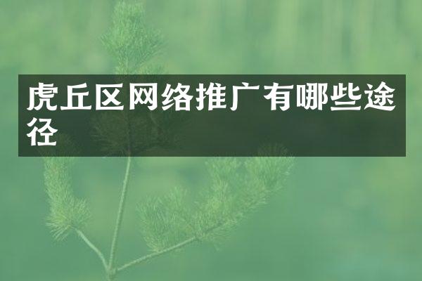 虎丘区网络推广有哪些途径
