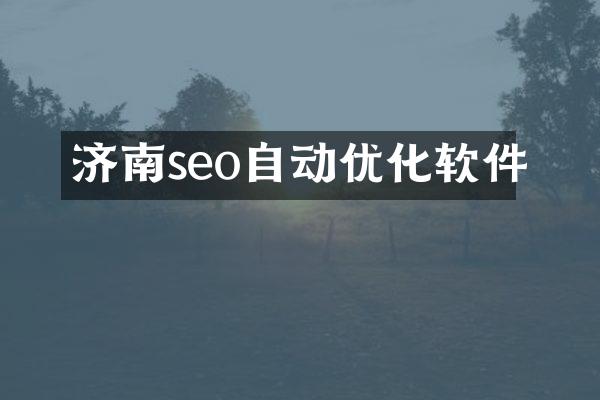 济南seo自动优化软件