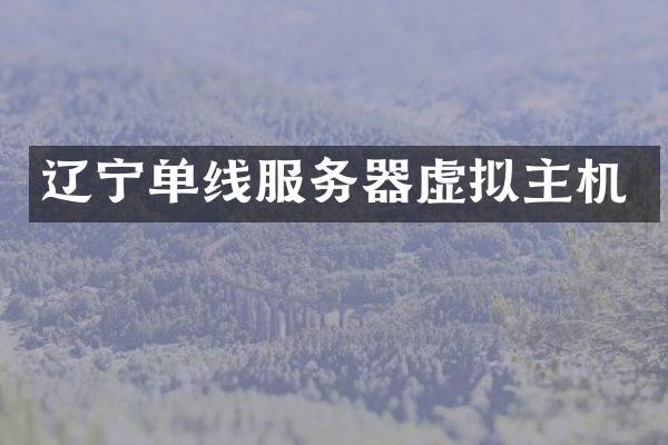 辽宁单线服务器虚拟主机