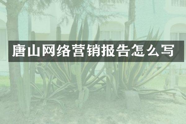 唐山网络营销报告怎么写