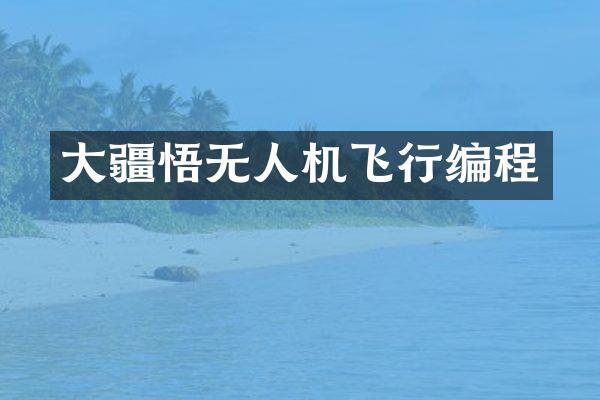 大疆悟无人机飞行编程