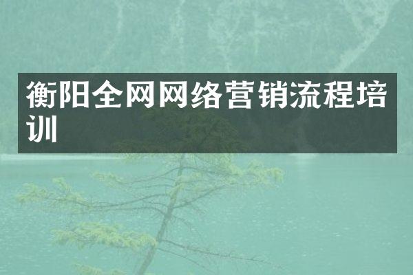 衡阳全网网络营销流程培训