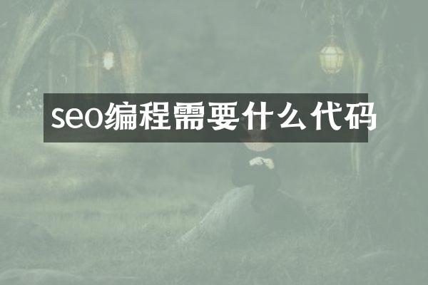seo编程需要什么代码