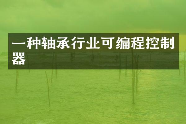 一种轴承行业可编程控制器