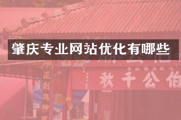 肇庆专业网站优化有哪些