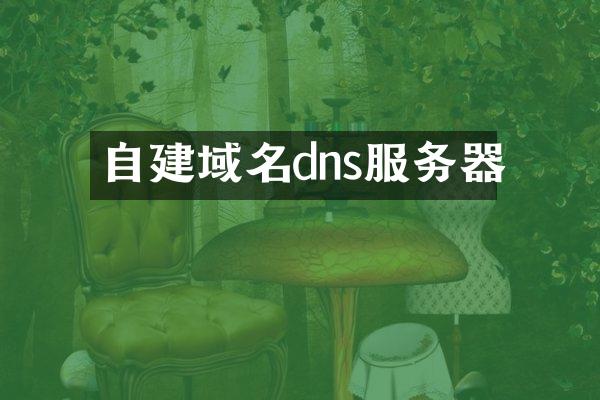 自建域名dns服务器