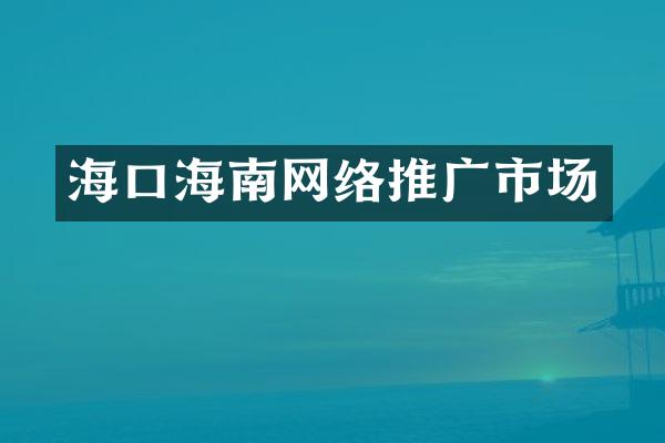 海口海南网络推广市场