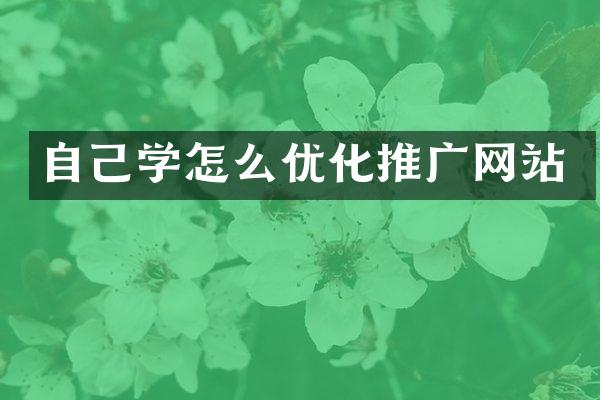 自己学怎么优化推广网站