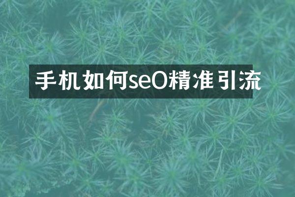 手机如何seO精准引流