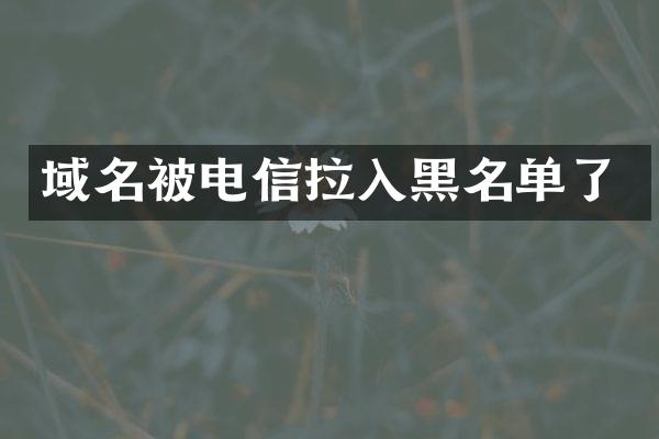 域名被电信拉入黑名单了