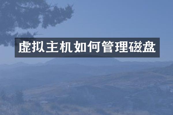 虚拟主机如何管理磁盘