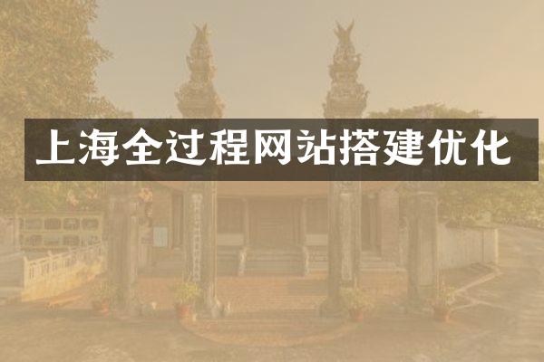 上海全过程网站搭建优化