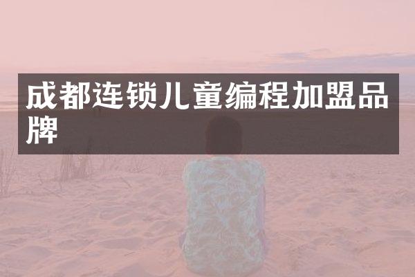 成都连锁儿童编程加盟品牌