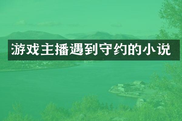 游戏主播遇到守约的小说