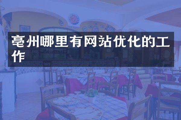 亳州哪里有网站优化的工作