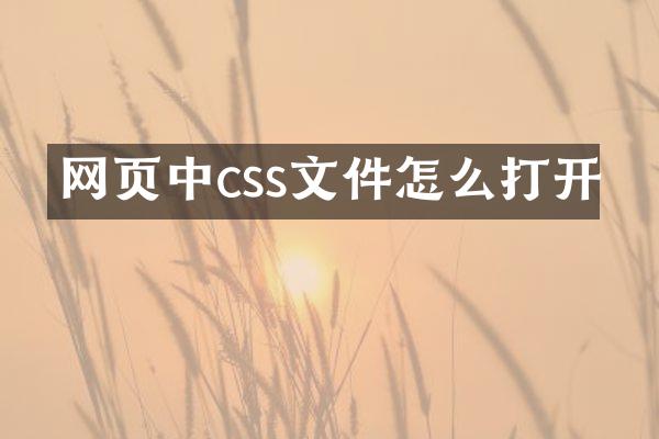网页中css文件怎么打开