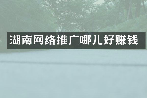 湖南网络推广哪儿好赚钱