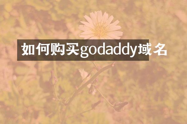 如何购买godaddy域名