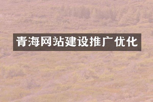 青海网站建设推广优化