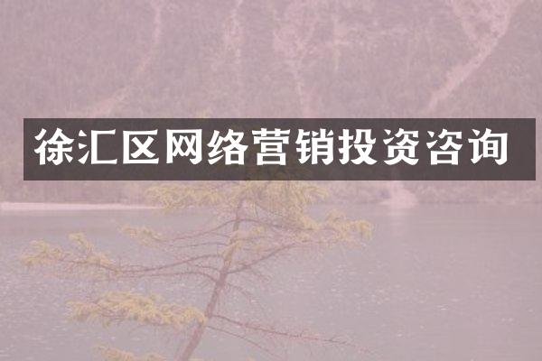 徐汇区网络营销投资咨询