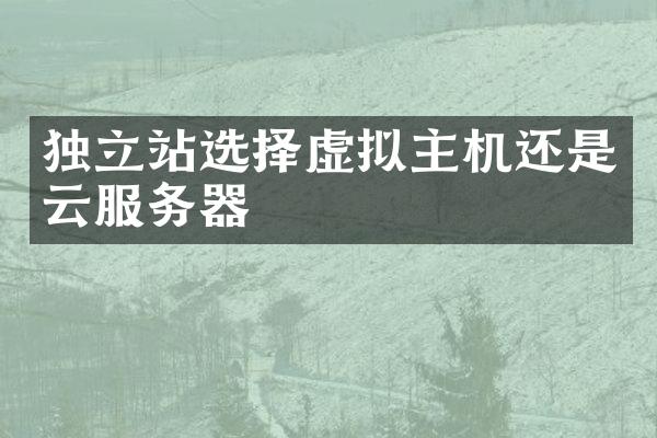 独立站选择虚拟主机还是云服务器