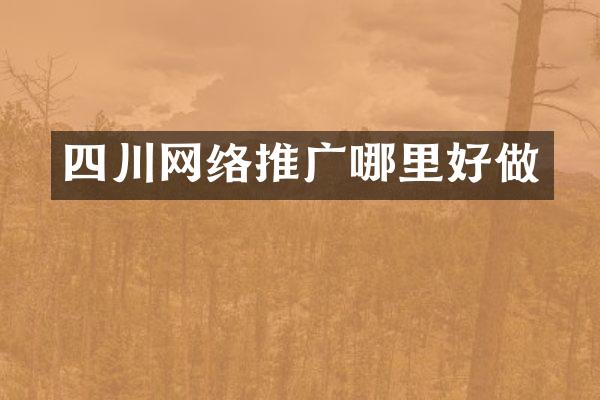 四川网络推广哪里好做
