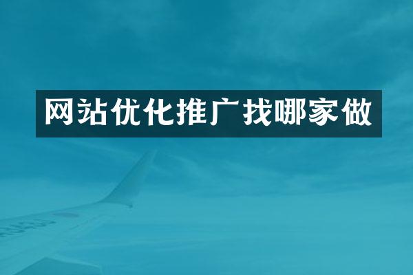 网站优化推广找哪家做