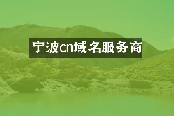 宁波cn域名服务商