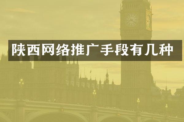陕西网络推广手段有几种