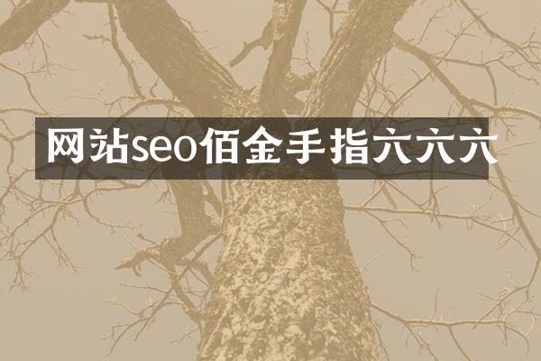 网站seo佰金手指六六六