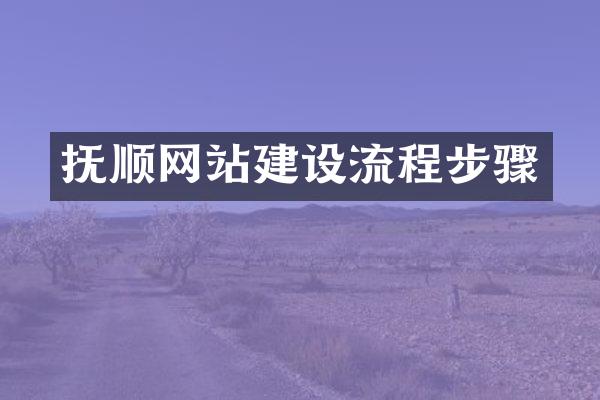 抚顺网站建设流程步骤