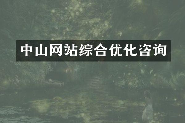 中山网站综合优化咨询