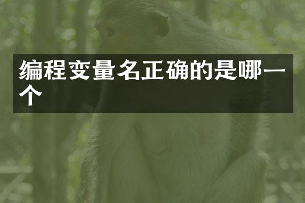 编程变量名正确的是哪一个