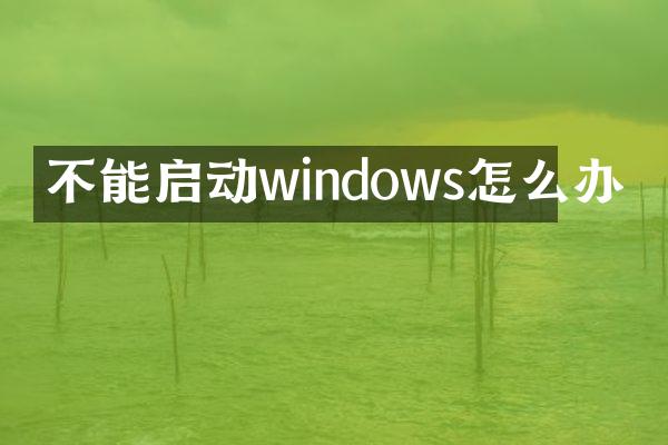 不能启动windows怎么办