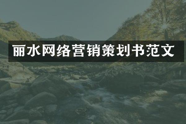 丽水网络营销策划书范文
